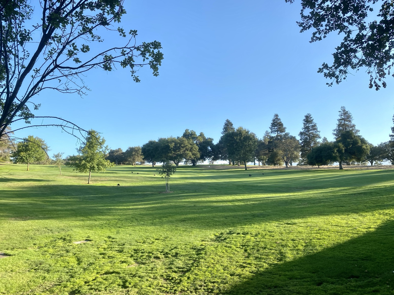 Lo Stanford Golf Course in California
